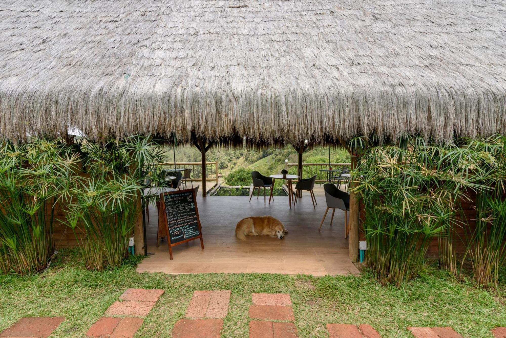 Levit Glamping - Hotel Guatape Penol (Adults Only) Eksteriør bilde